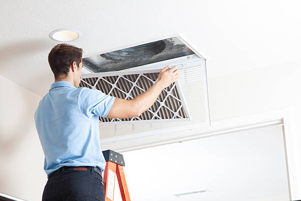 Best Air Filters and Purifiers in Vineyard, UT